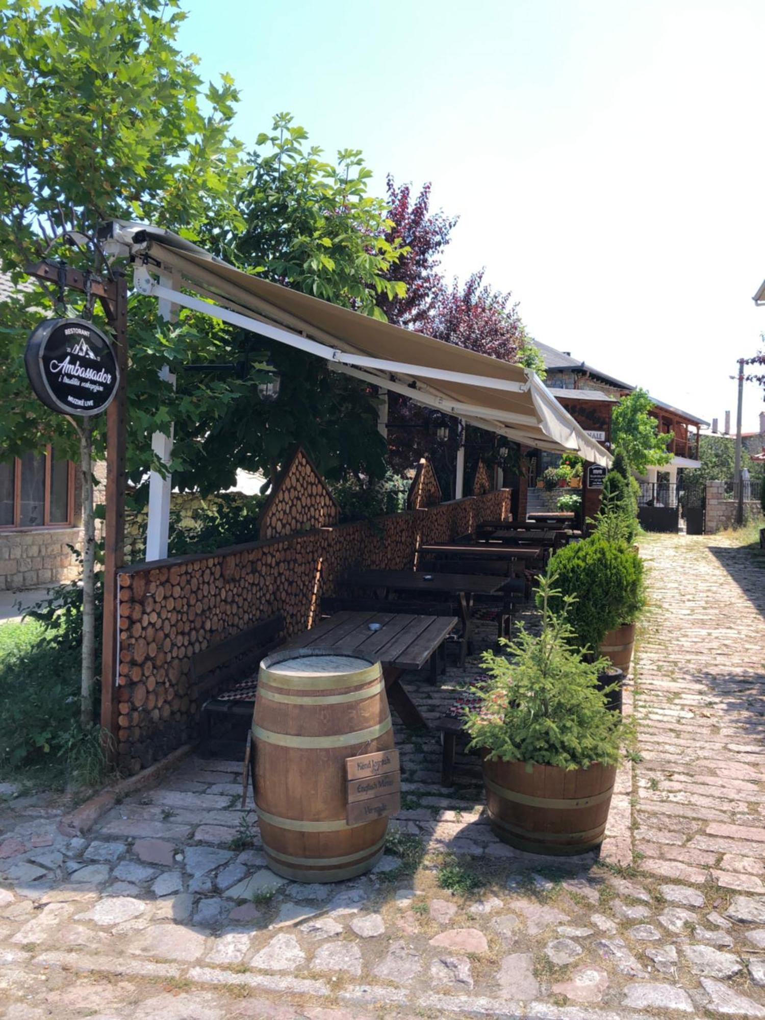 Hotel Ambassador Voskopojë Dış mekan fotoğraf