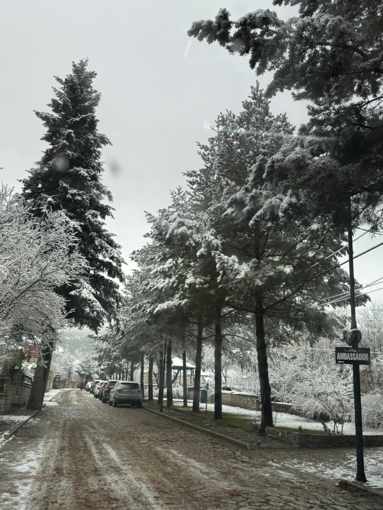 Hotel Ambassador Voskopojë Dış mekan fotoğraf